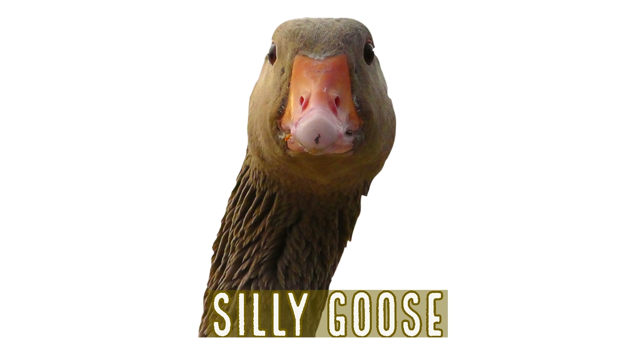 A Day in the Life of Silly Goose – Children’s Book and Hip Hop Read-Along