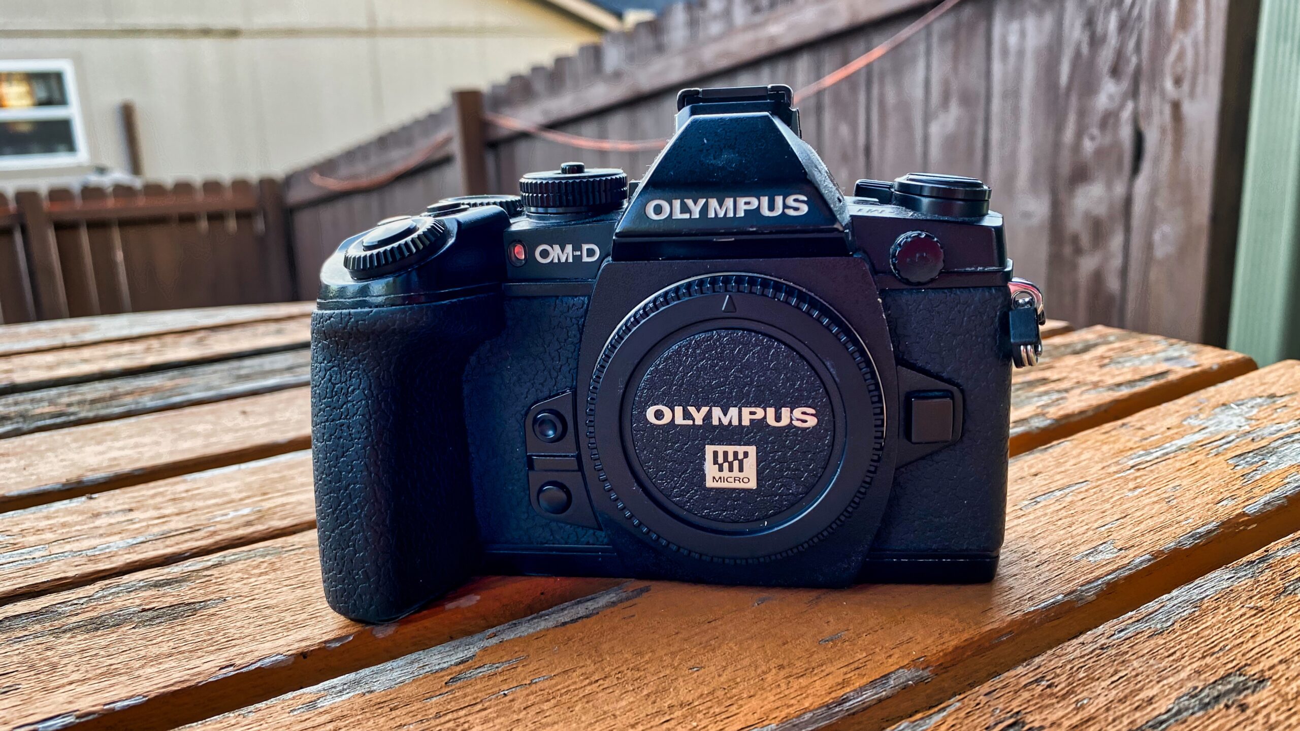 Olympus E-M1 a Better Buy than OM System OM-1 in 2022
