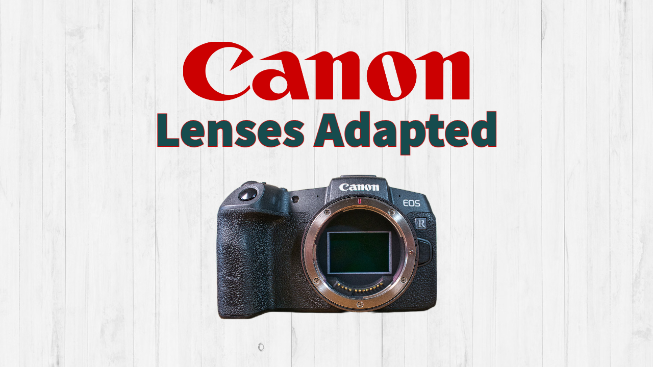 3 Reasons I Use Canon EF Over RF Mount Lenses