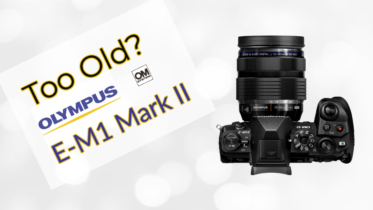 Is the Olympus E-M1 Mark II a Good Camera in 2022